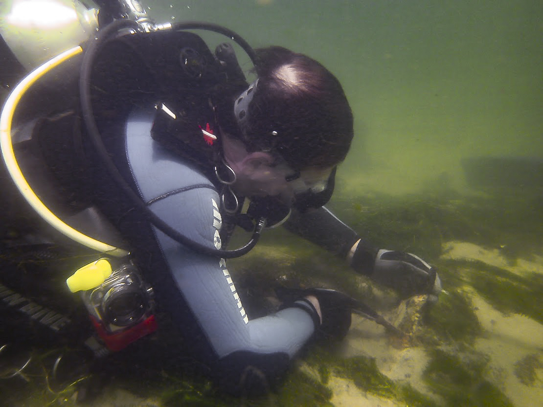 Os sítios arqueológicos subaquáticos foram encontrados pela equipe de mergulhadores da FPI/SE (fotos: equipe de Espeleologia/Arquelogia da FPI 2018)