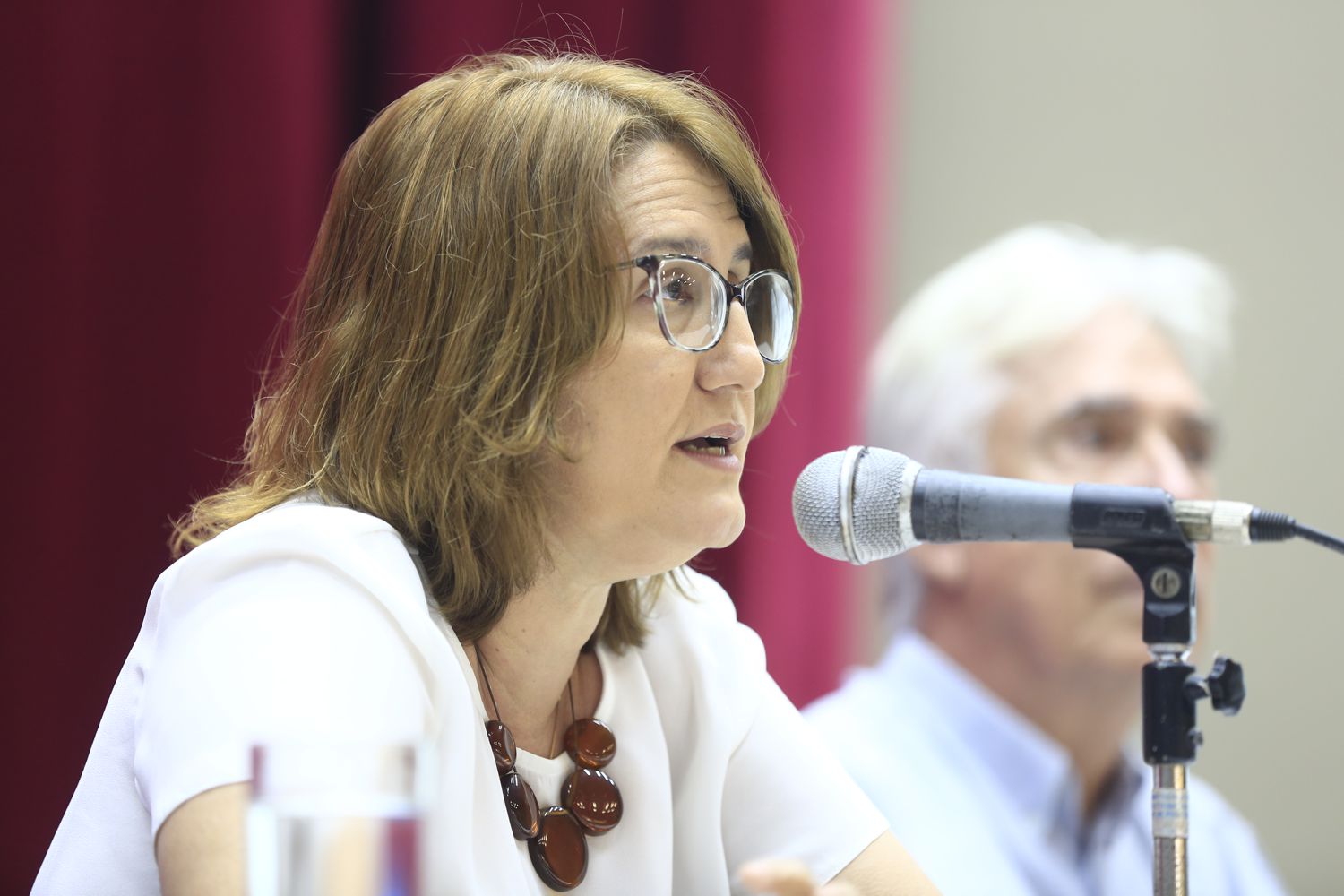 Denise Leal Fontes Albano, professora do Departamento de Direito