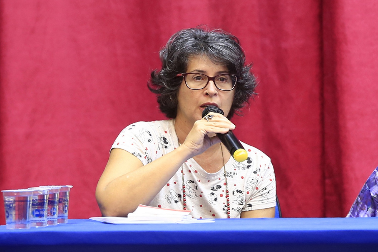 Para Silvana Bretas, do DED, “o verdadeiro Paulo Freire merece ser discutido, estudado e também criticado".