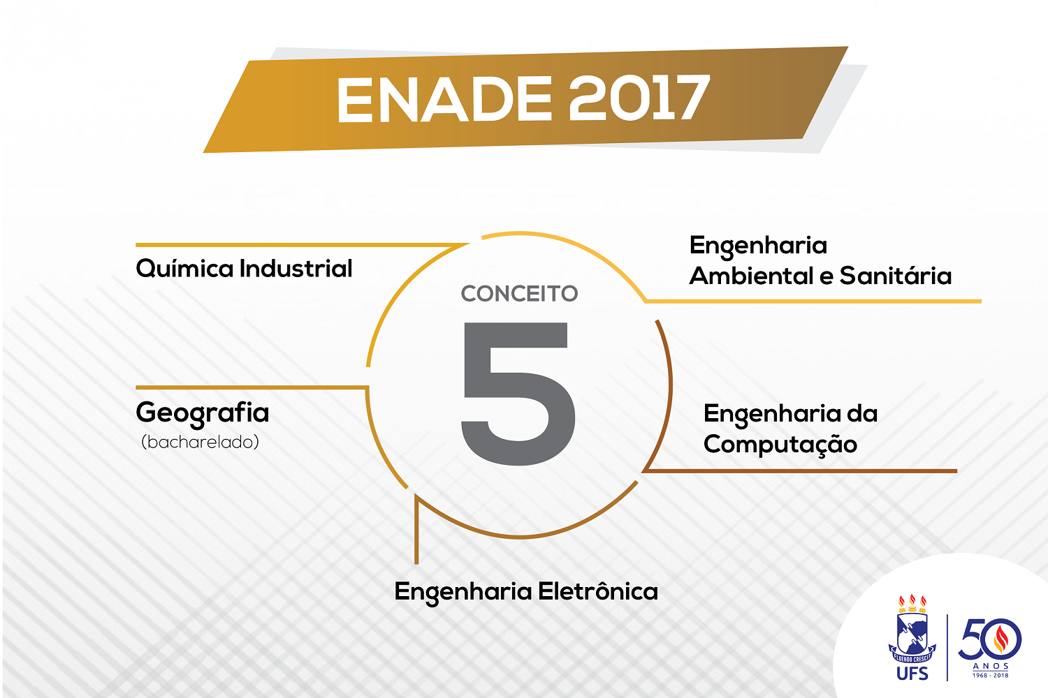 O Enade 2017 avaliou cursos de Ciências Exatas, licenciaturas e áreas afins. (Infográficos: Giordanna Belotti/bolsista Ascom UFS)