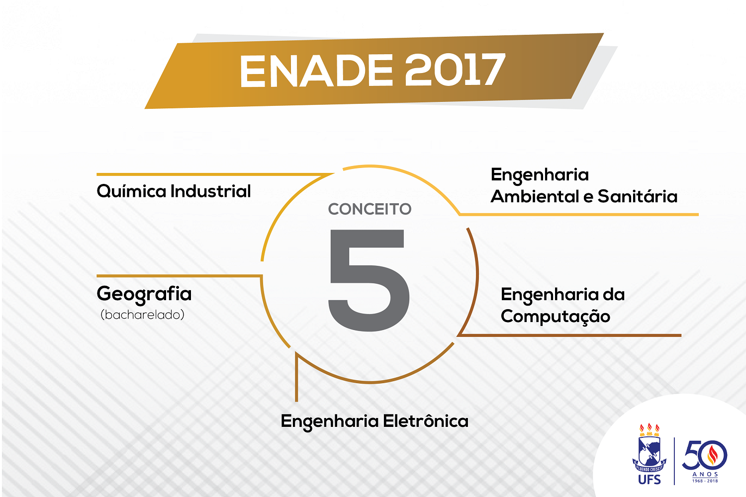 O Enade 2017 avaliou cursos de Ciências Exatas, licenciaturas e áreas afins. (Infográficos: Giordanna Belotti/bolsista Ascom UFS) 