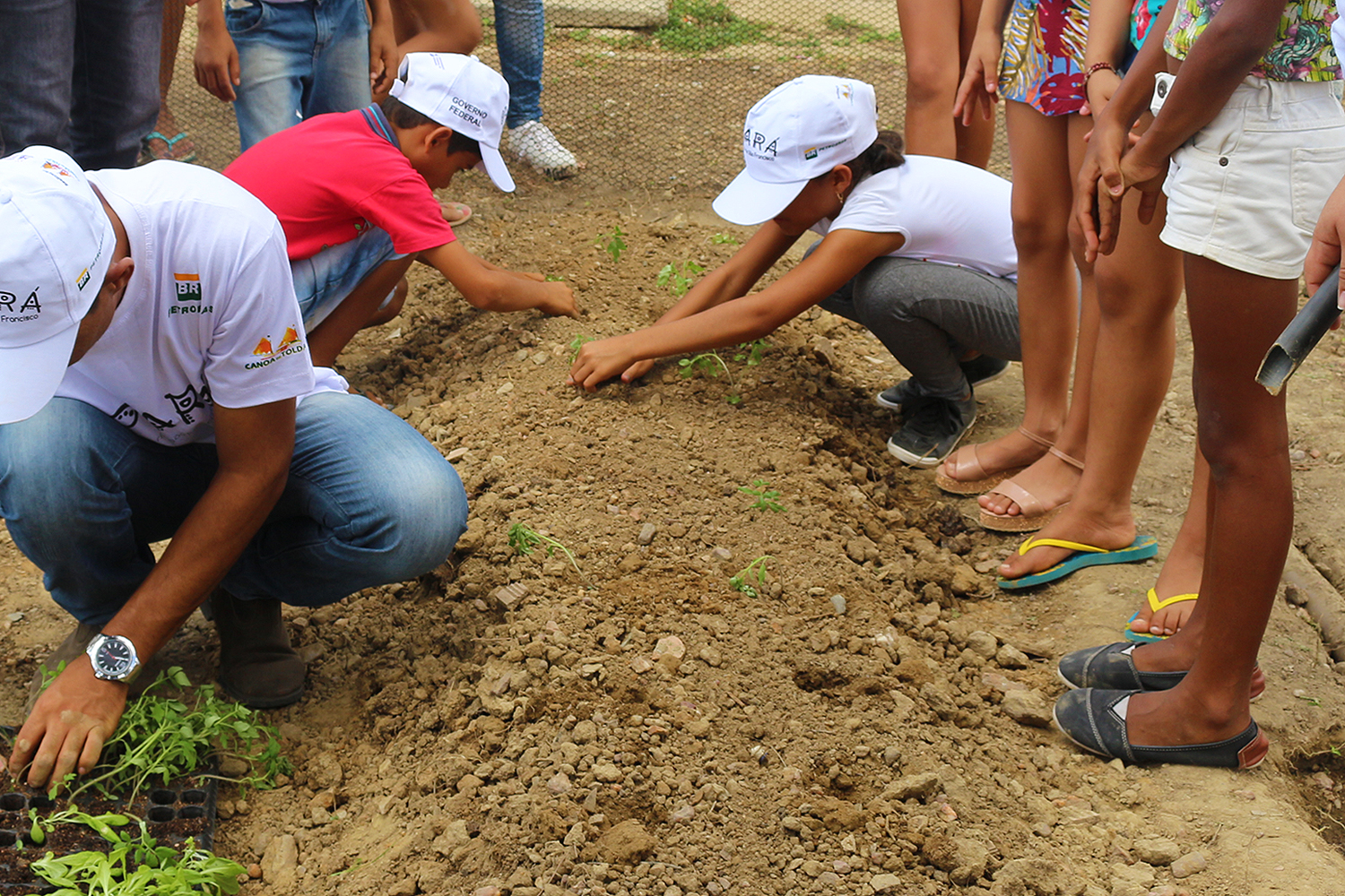 Crianças da Escola Municipal Dr. Luiz Garcia se envolveu com a horta saudável que fizeram com os estudantes da UFS (Fotos: Projeto Opará)