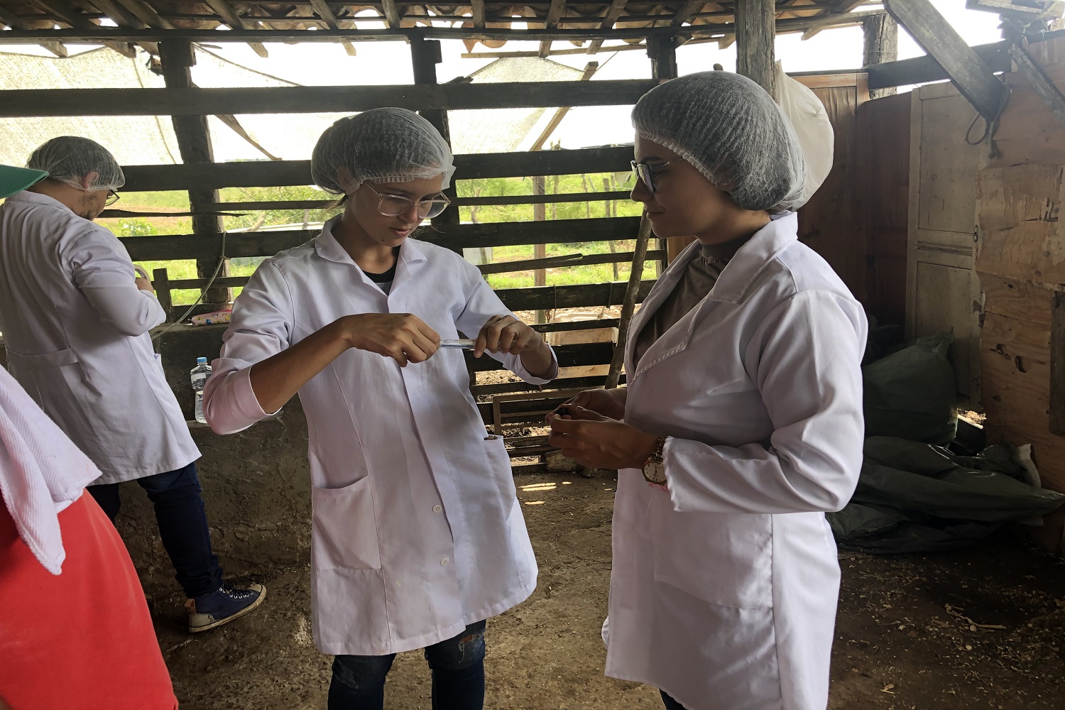 Microrganismos presentes no ambiente, associados a um processo de higienização ineficiente, podem favorecer a contaminação e afetar a qualidade físico-química do leite. 