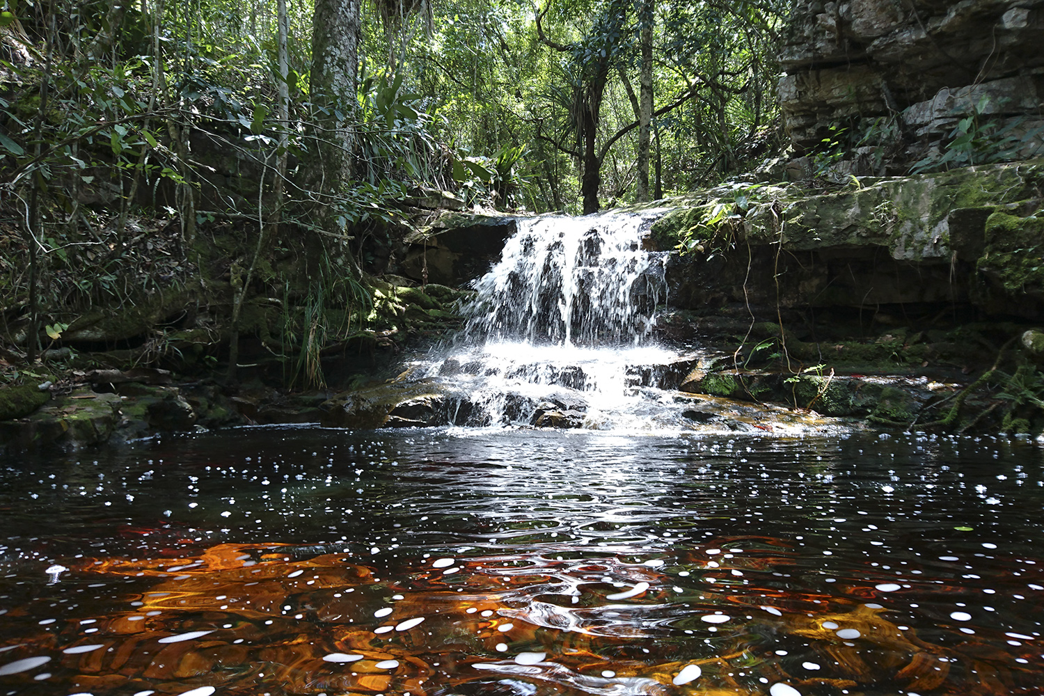 Com área de 7.966 hectares e altitude máxima de aproximadamente 620 metros, o Parque Nacional Serra de Itabaiana (Parnasi) compreende os municípios de Itabaiana, Areia Branca, Campo do Brito, Itaporanga D’Ajuda e Laranjeiras.