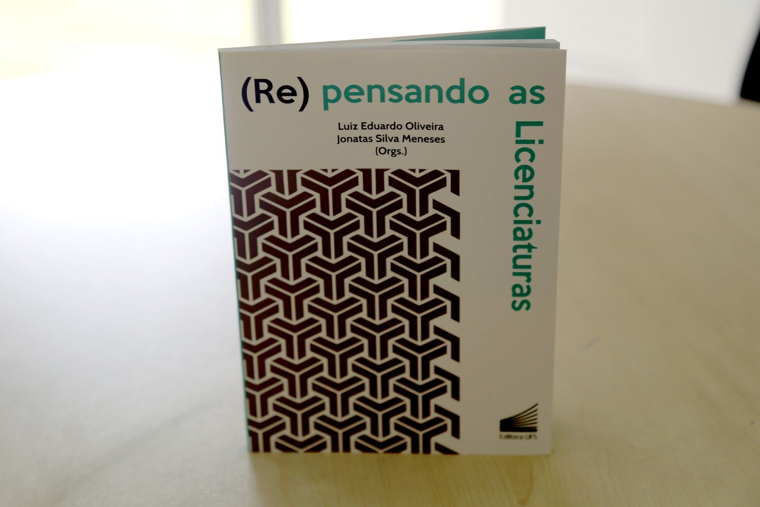 Livro é composto por nove artigos de professores da UFS e um de professora da Uerj. (foto: Schirlene Reis/Ascom-UFS)
