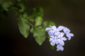 Thumb  40a5018 1500x1000