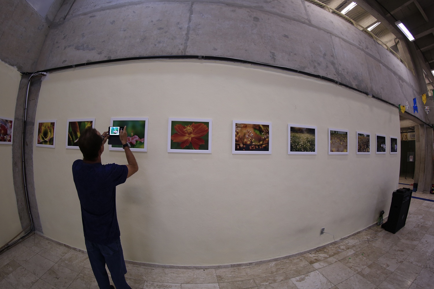 Colegas da Ascom foram os responsáveis por ajudar na escolha das fotos para a exposição. 