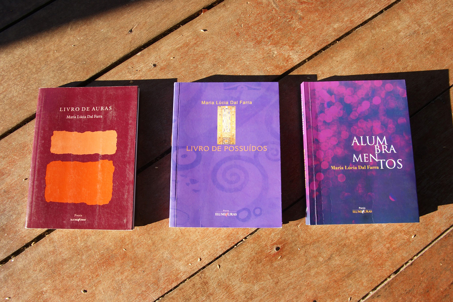 "Terceto para o fim do mundo" é o quarto livro de poemas de Maria Lúcia Dal Farra