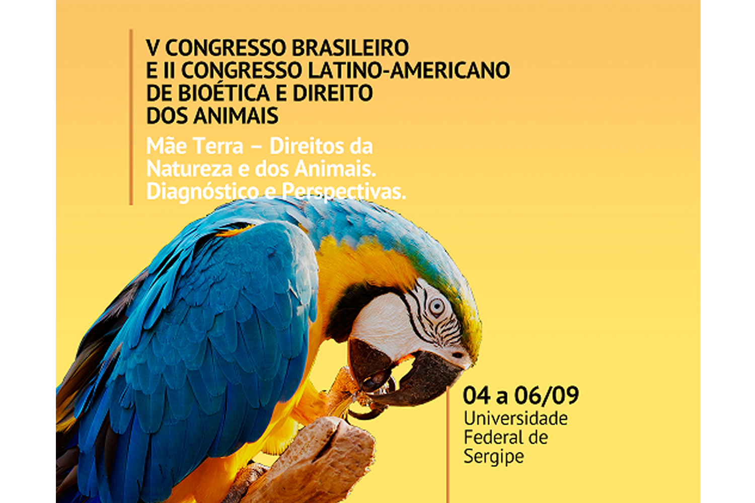 Arte: divulgação.