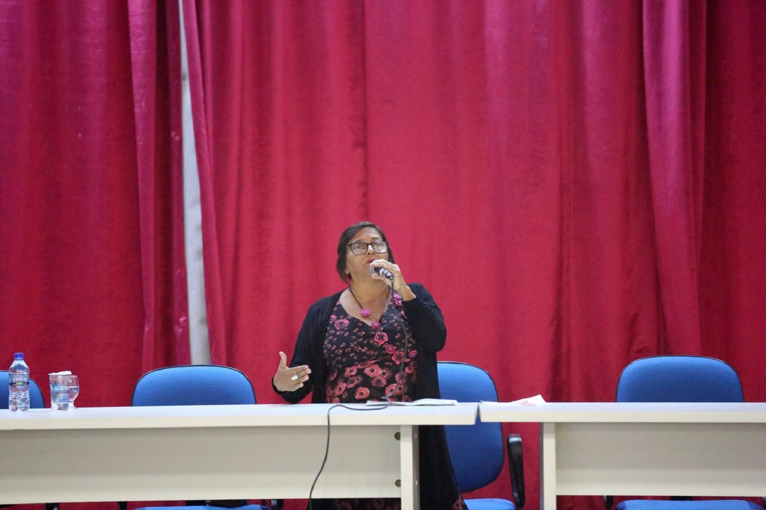 Margarida seminario sobre inclusao