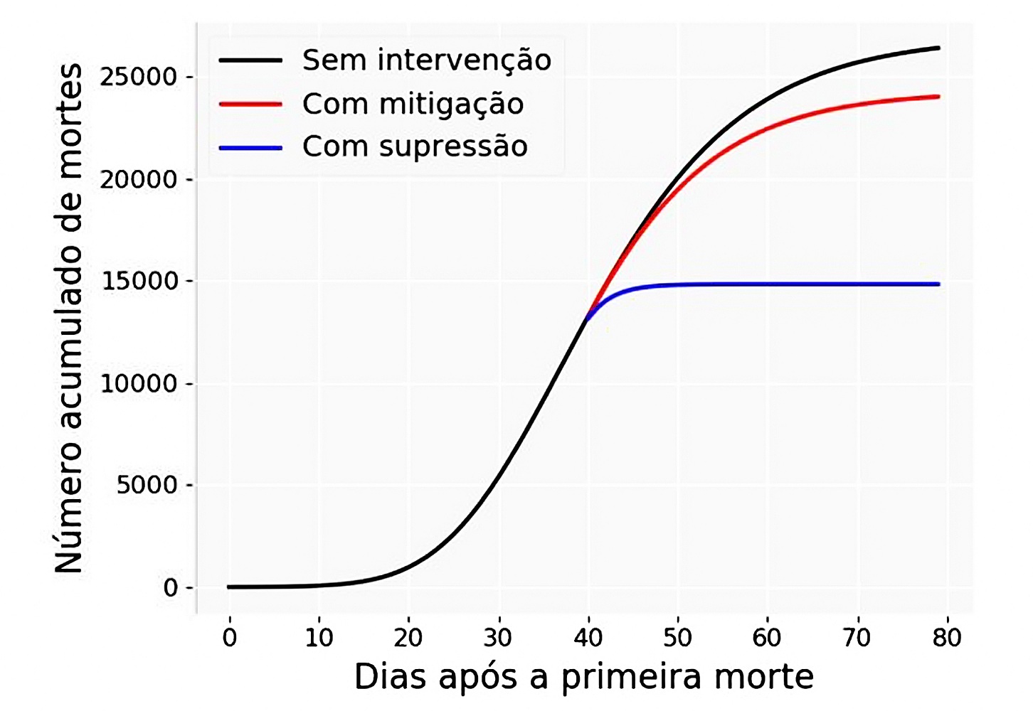 Mortalidade 12