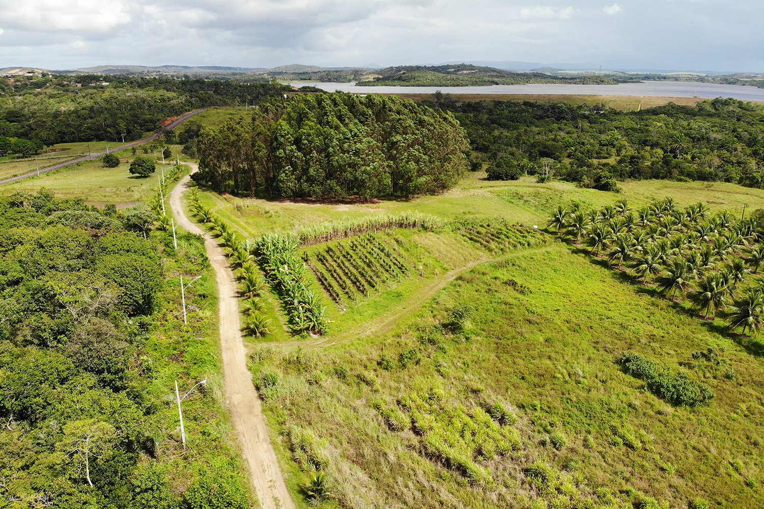 Além do suporte às aulas práticas dos cursos de Ciências Agrárias da UFS, o Centro irá fomentar a melhoria da produção animal e o aumento da rentabilidade das propriedades rurais (Fotos: Dipro/UFS)