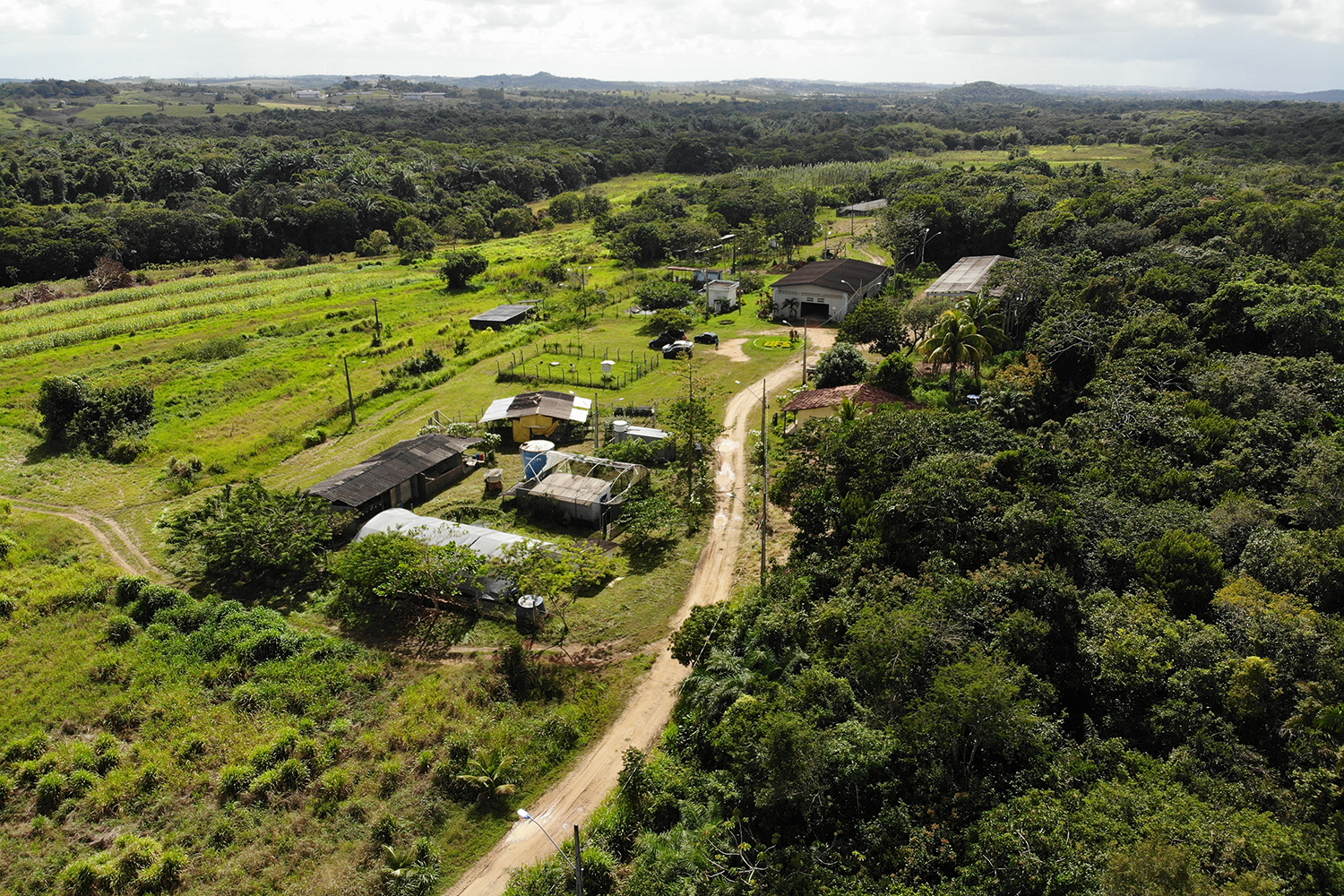 Centro a ser construído deverá servir também como um ambiente de capacitação permanente de mão de obra qualificada e especializada