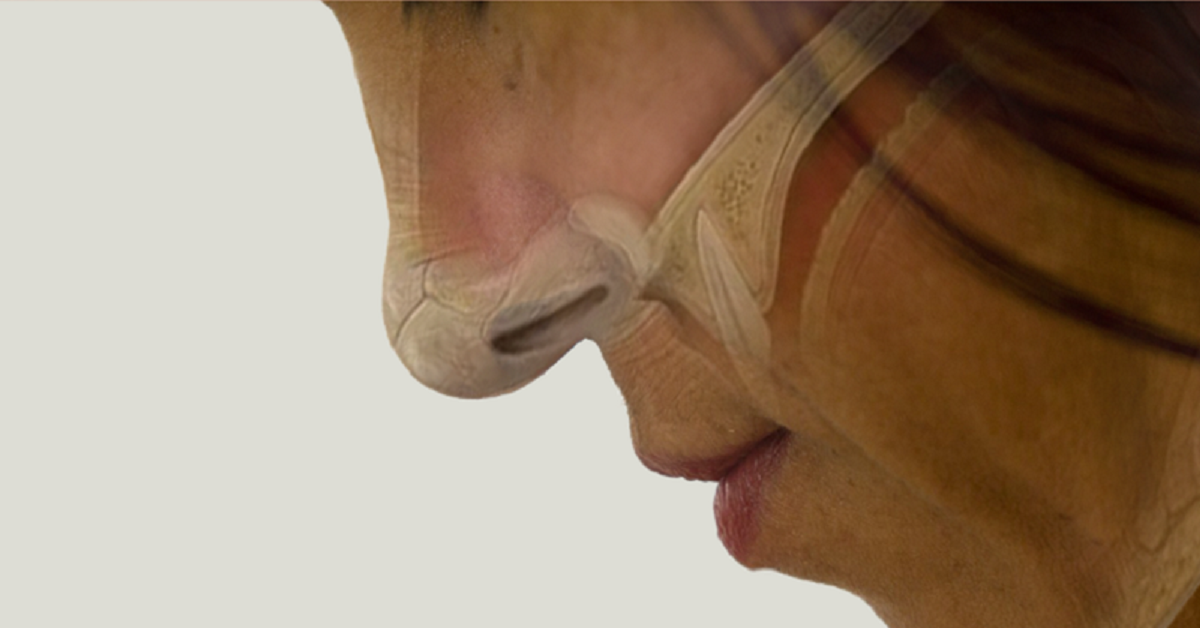O interessado deve solicitar ao seu médico um encaminhamento para o ambulatório de Microcirurgia em Otorrinolaringologia do HU-UFS. (foto: Reprodução)