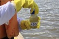 Thumb img 6373