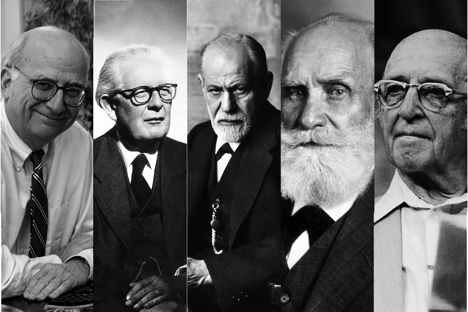 Gazzaniga, Piaget, Freud, Pavlov e Carl Rogers são alguns dos teóricos da aprendizagem abordados na obra (fotos: Reprodução)