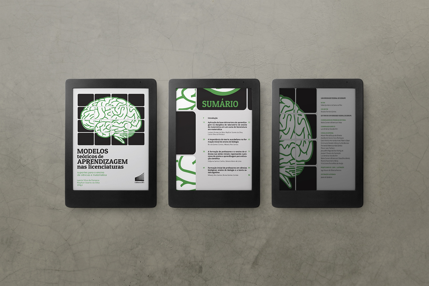 Obra explora perspectivas de aprendizagem de química, matemática, física e biologia, oferecendo sugestões e propondo uma matriz de referência para o docente ou professor em formação (projeto gráfico e capa: Iago Novais/ bolsista EditoraUFS)