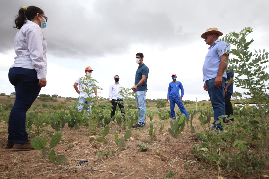 Experimento é realizado no Médio Sertão de Sergipe. Fotos: Josafá Neto/Rádio UFS