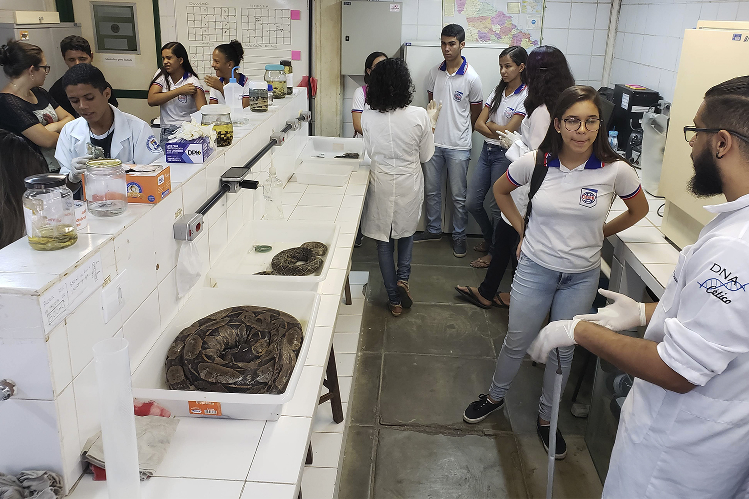 Exemplares da coleção científica e didática do Laboratório de Biologia e Ecologia de Vertebrados (Labev/DBCI) são expostos aos visitantes. (fotos: arquivo pessoal)