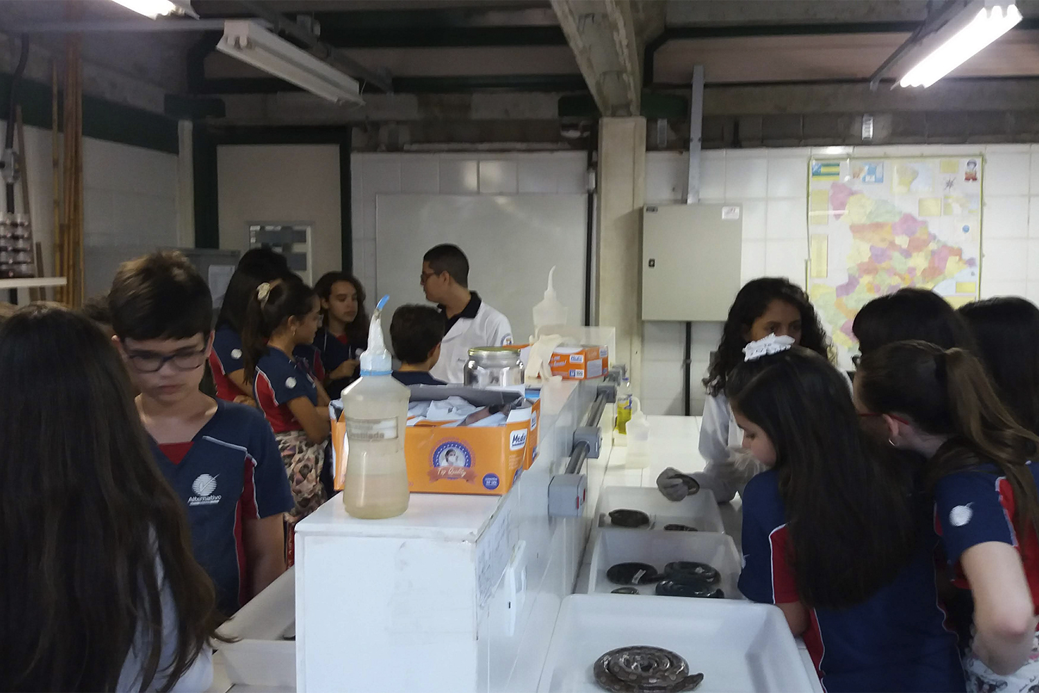 Visitantes têm contato com informações sobre biologia, ecologia e princípios de conservação da fauna de anfíbios e répteis.
