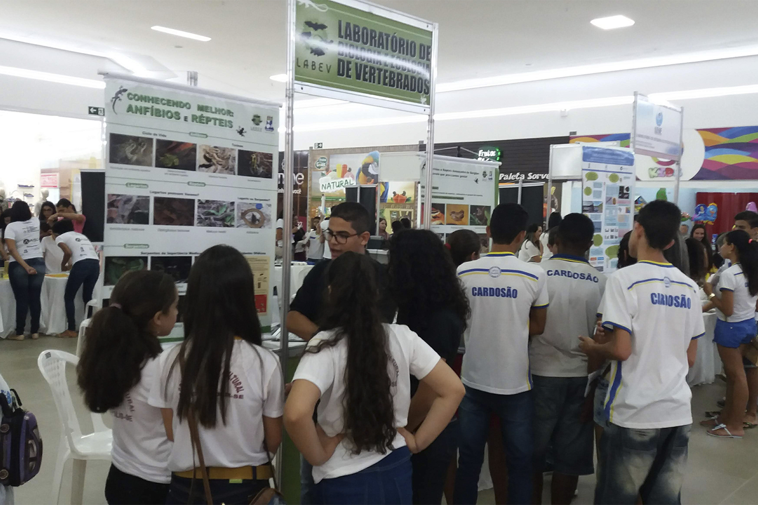 Pretensão do projeto é incluir associações de produtores rurais e técnicos de enfermagem de hospitais públicos.