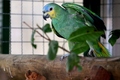 Thumb img 3535