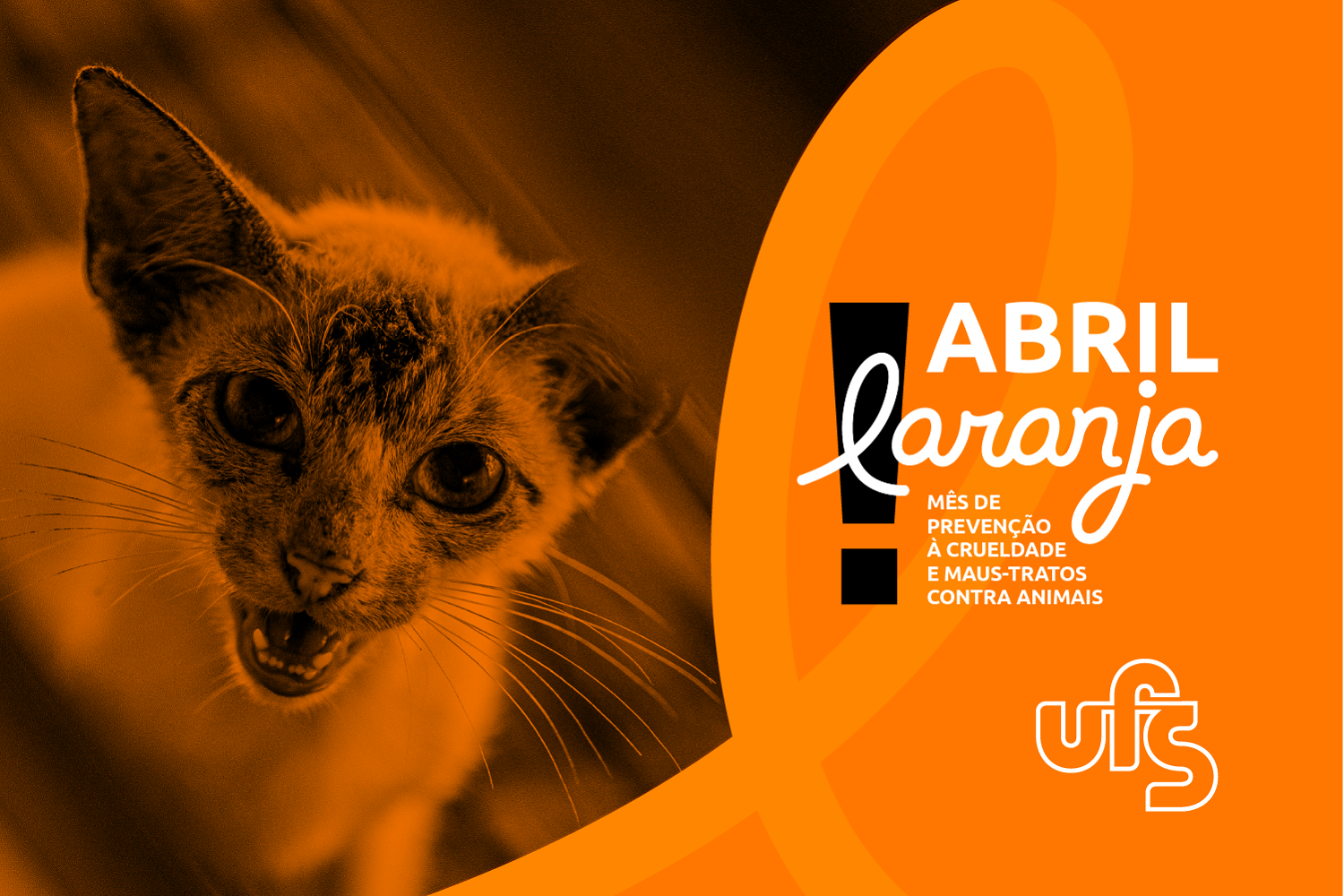 Campanha visa prevenir e combater práticas de crueldade e abandono animal