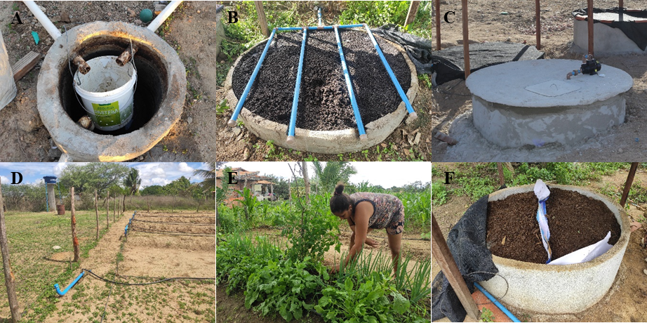 Bioágua Familiar é uma tecnologia social que trata da água para reutilizar na produção agrícola (Fotos: Arquivo pessoal)
