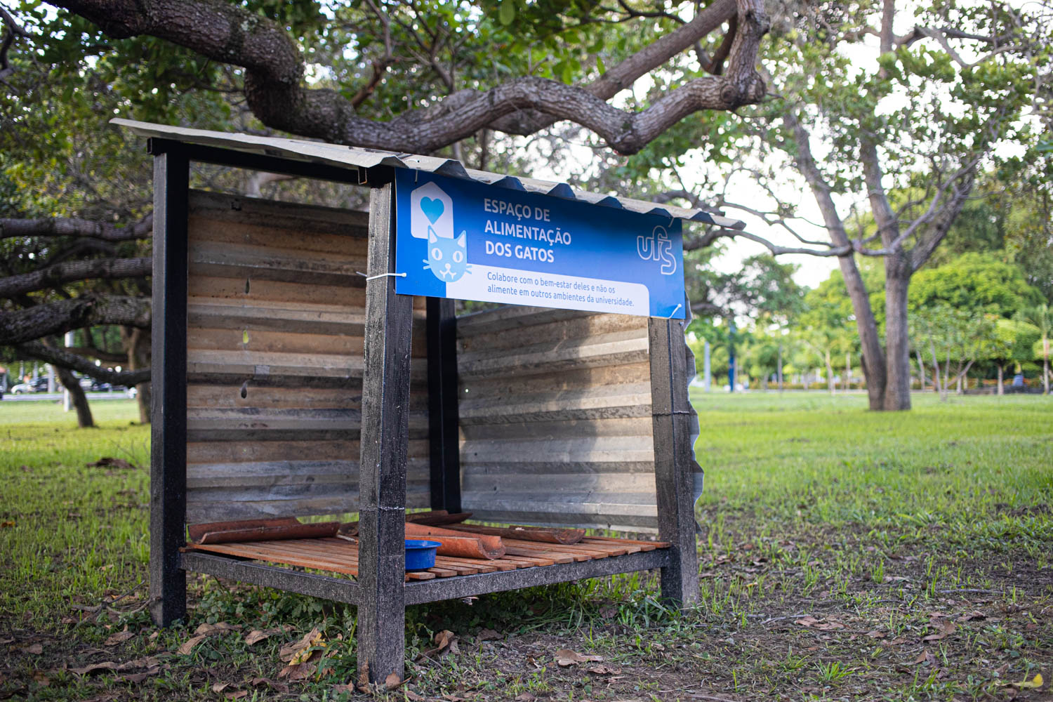 Foram substituídas mais de 20 casas de alimentação para os felinos (Fotos: Pedro Ramos/Ascom UFS)