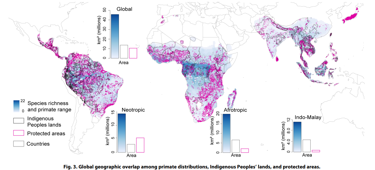 Sobreposição geográfica entre distribuição de primatas, terras indígenas e áreas protegidas