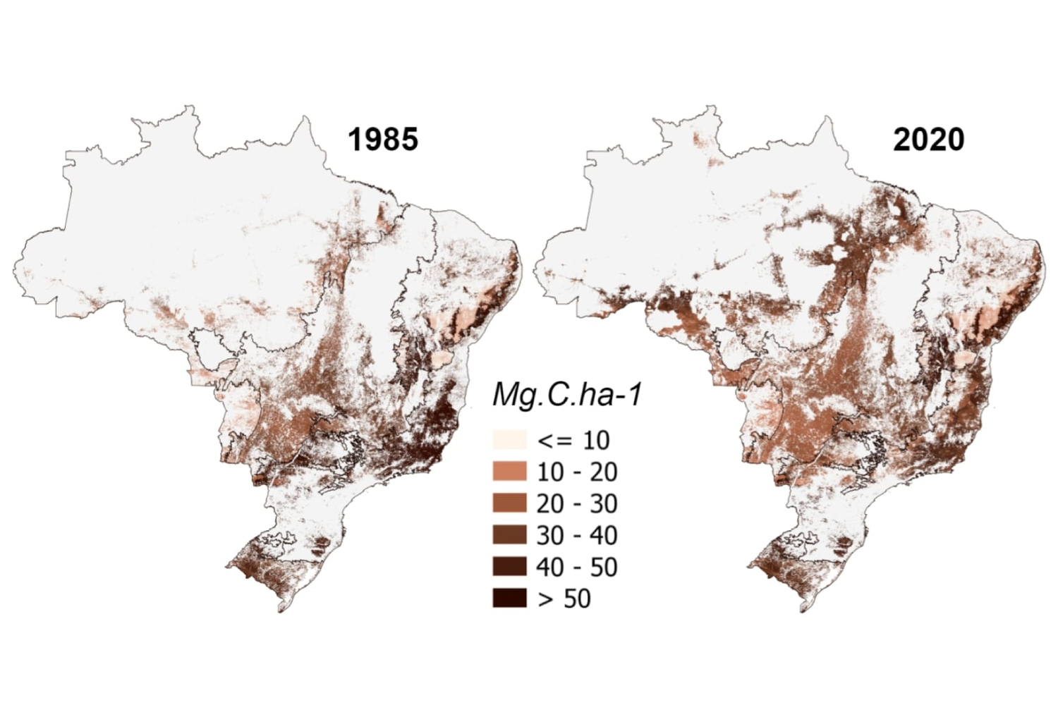 Variação dos estoques de carbono em solos sob pastagem no Brasil entre 1985 e 2020. O mapa é um dos produtos da parceria entre UFS e UFG.