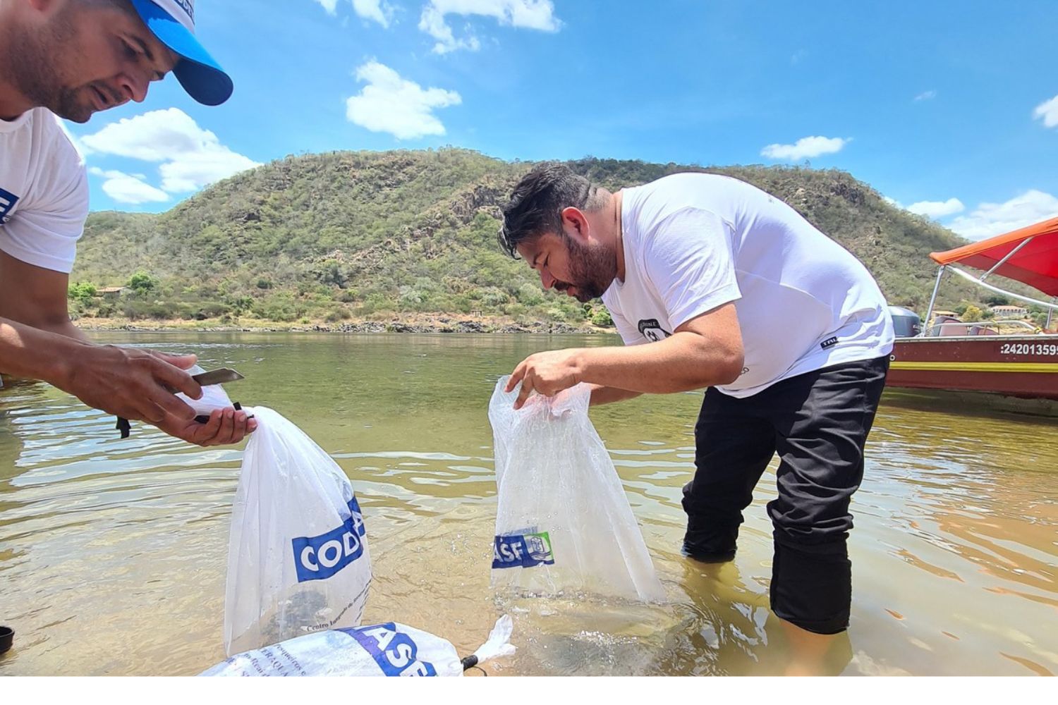 UFS é parceira no projeto com pesquisadores de diversas áreas envolsidos