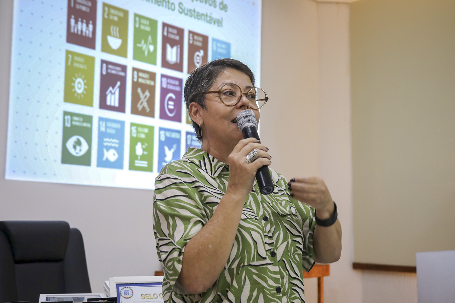 Palestra da professora Zuleica Goulart, coordenadora do Programa Cidades Sustentáveis (PCS)