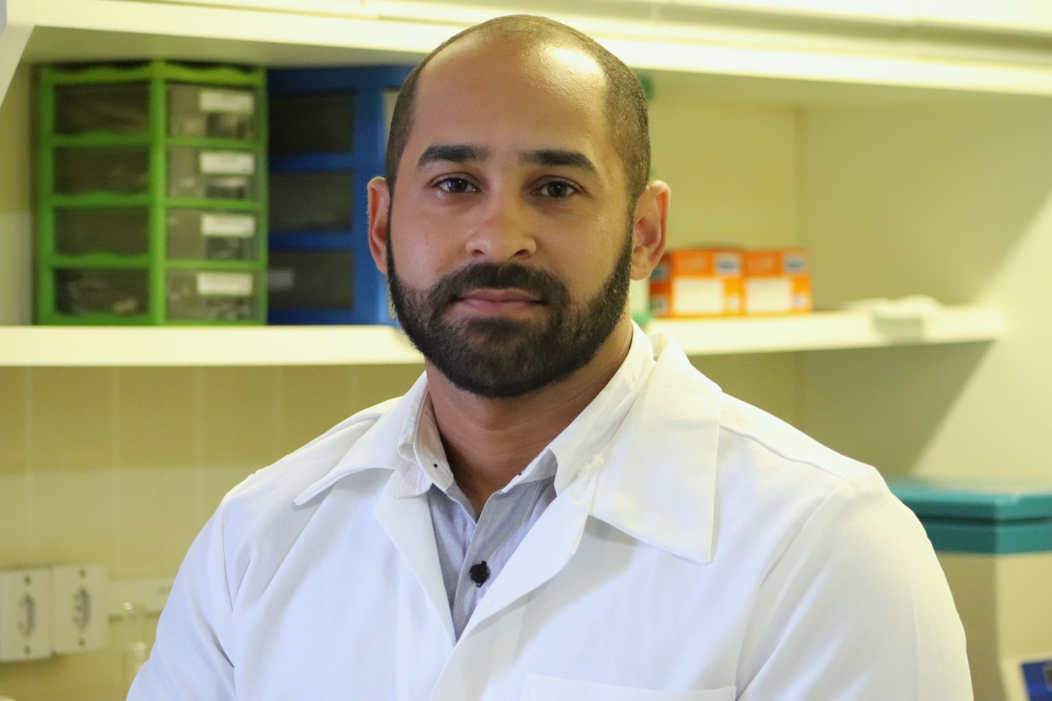 Portal UFS - Pesquisadores da UFS investigam efeitos do uso medicinal ...