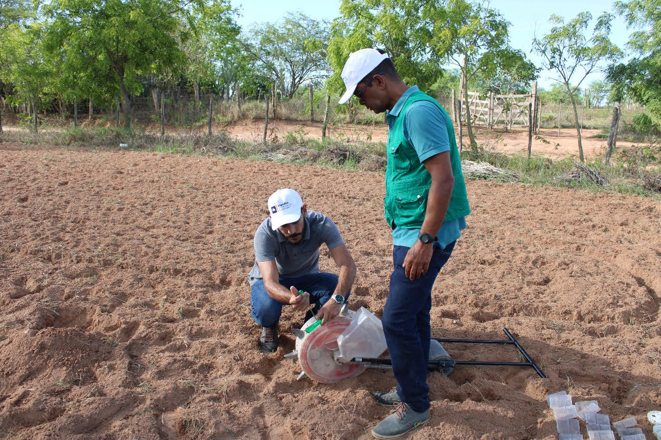 Fábio Santiago, coordenador do Projeto/Diaconia, e professor Dênis (Campus do Sertão), durante montagem da plantadeira. (Foto: Acsa Macena/Projeto Algodão em Consórcios Agroecológicos)