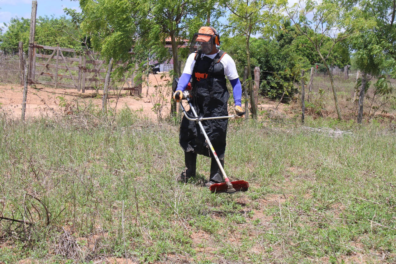 Agricultor Cleonaldo Ferreira, ligado à Acopase-SE, durante manuseio da roçadeira em Porto da Folha, Alto Sertão Sergipano. (Foto: Acsa Macena/Projeto Algodão em Consórcios Agroecológicos)