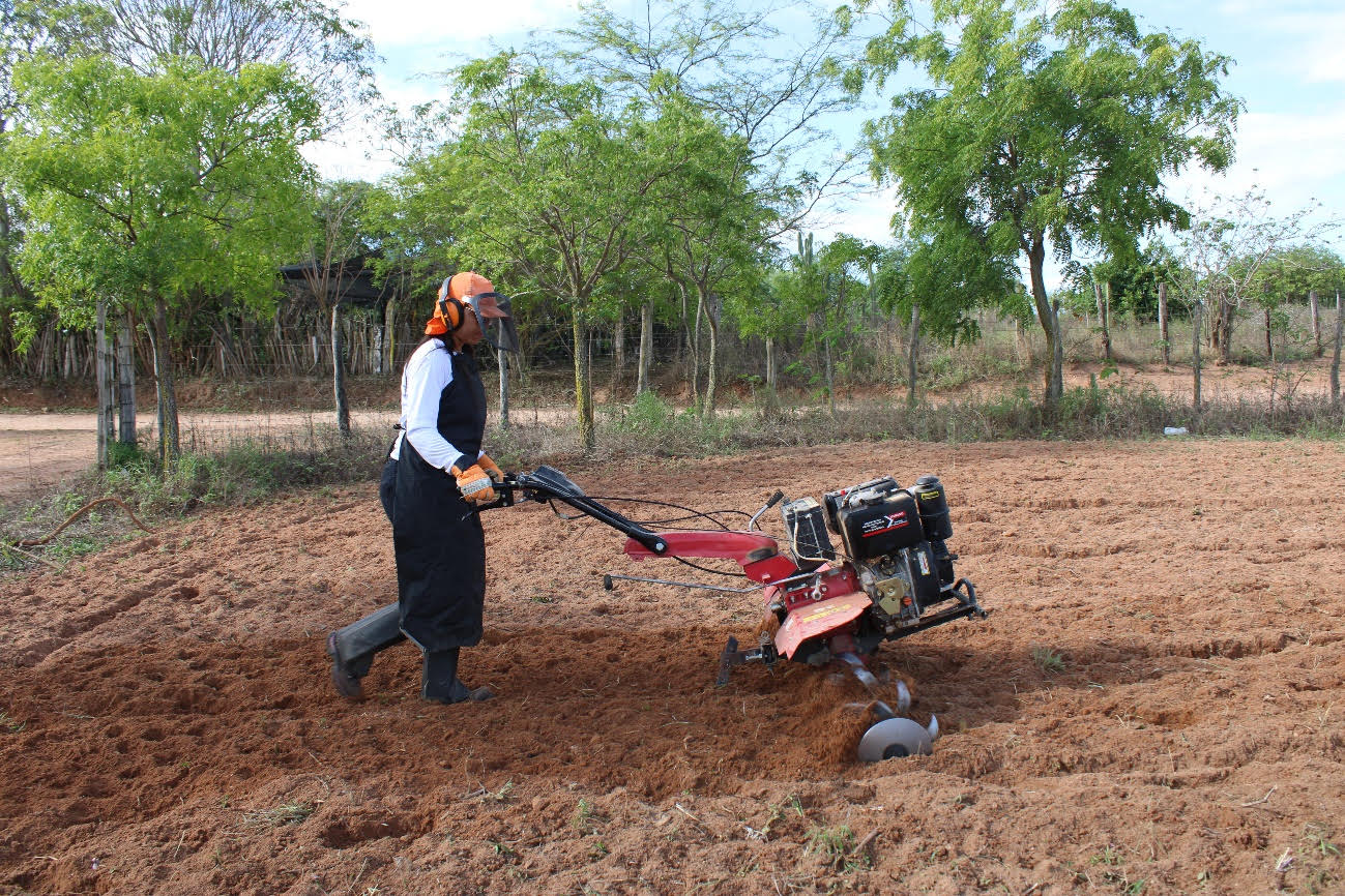 Agricultora Iara Silva da (Acopase-SE) manuseando o microtrator em Lagoa da Volta, Alto Sertão Sergipano. (Foto: Acsa Macena/Projeto Algodão em Consórcios Agroecológicos)