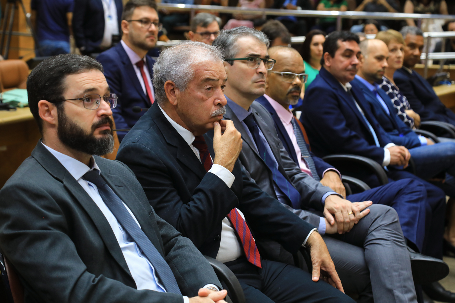 A lista é composta de docentes de diversas áreias; confira relação ao final