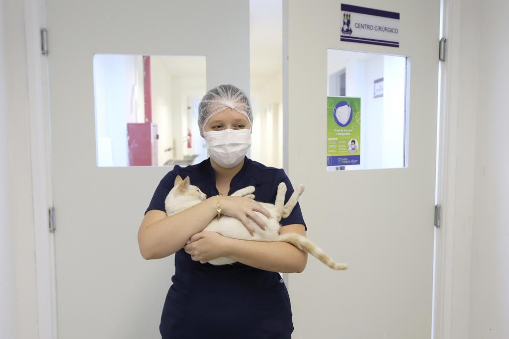 Procedimento é feito no Hospital Veterinário da UFS. (Foto: Marcelle Cristinne/Prefeitura de Aracaju)