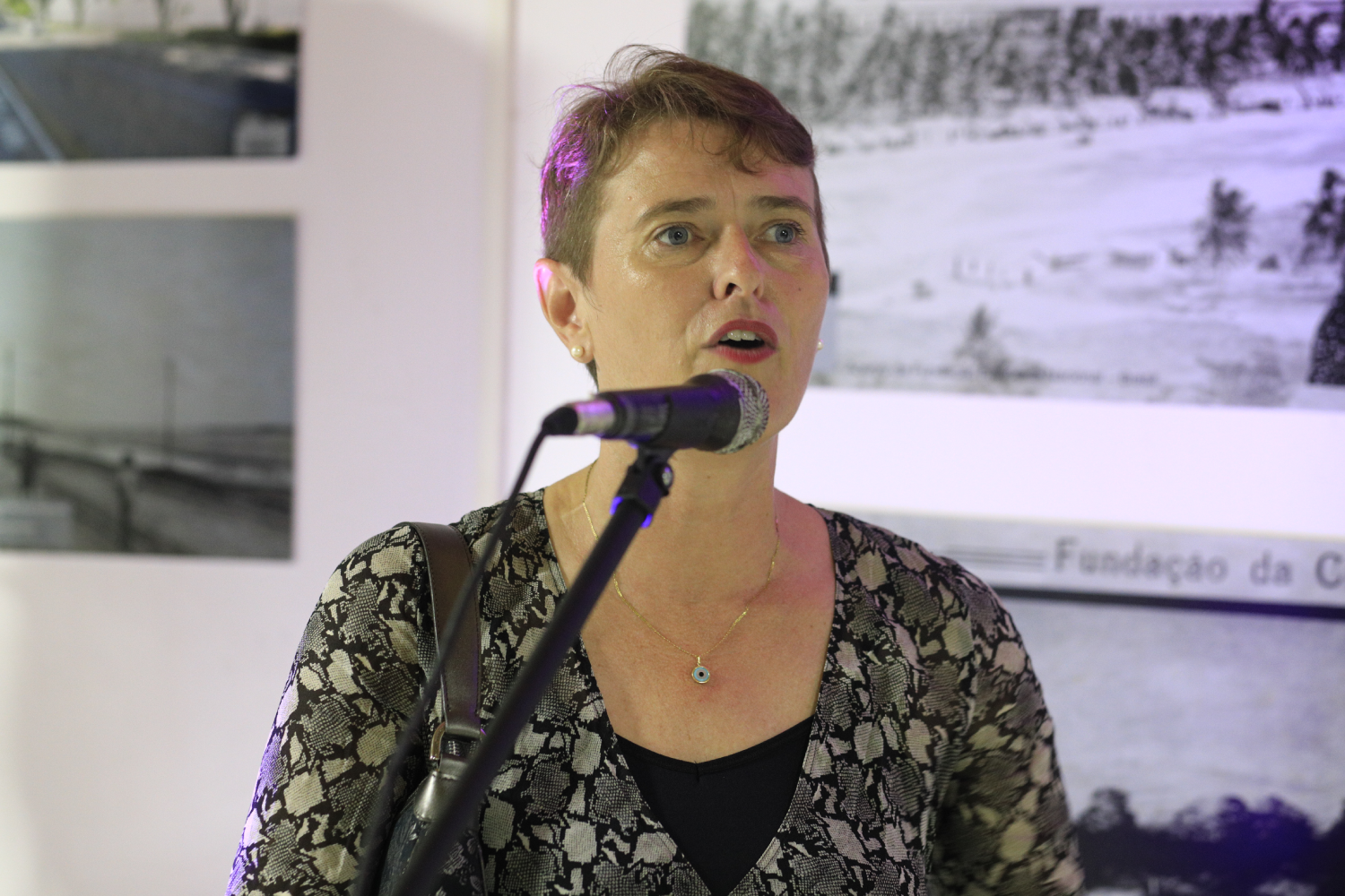 Professora Raquel Freitag fez a apresentação da obra