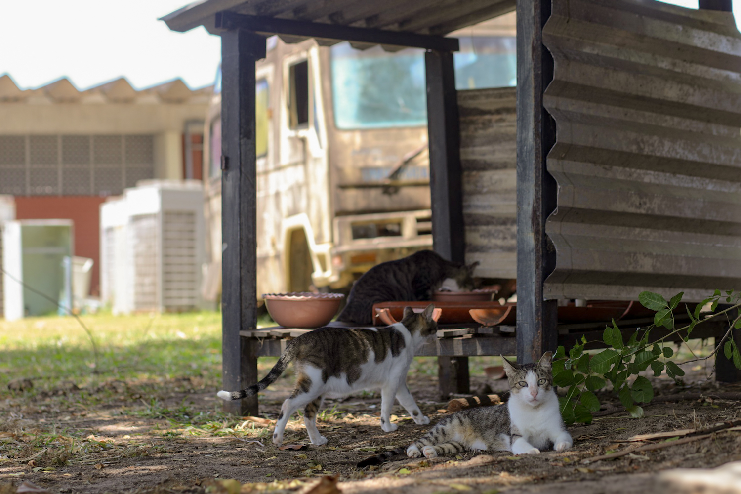 (Foto: Elisa Lemos/Ascom UFS)