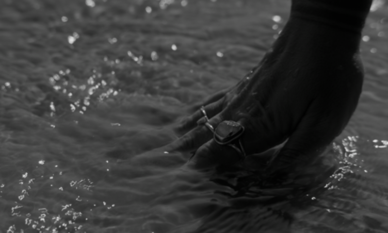 (Foto: reprodução)