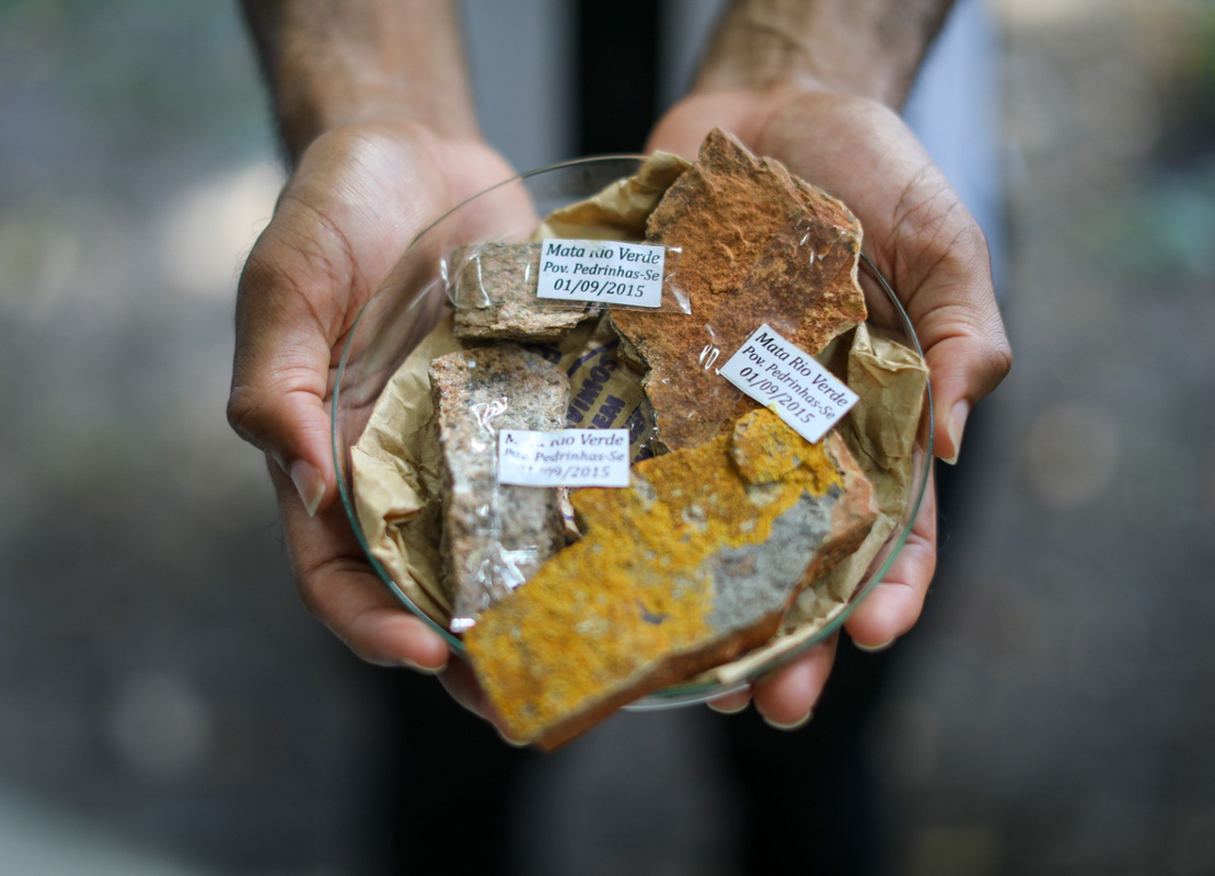 (Foto: Fernanda Spínola/Ascom UFS)