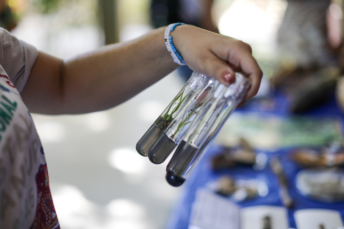 (Foto: Fernanda Spínola/Ascom UFS)