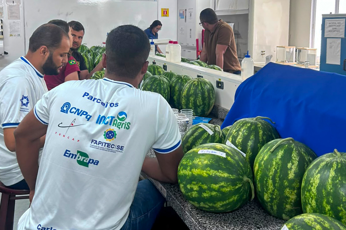 (Foto: arquivo pessoal)