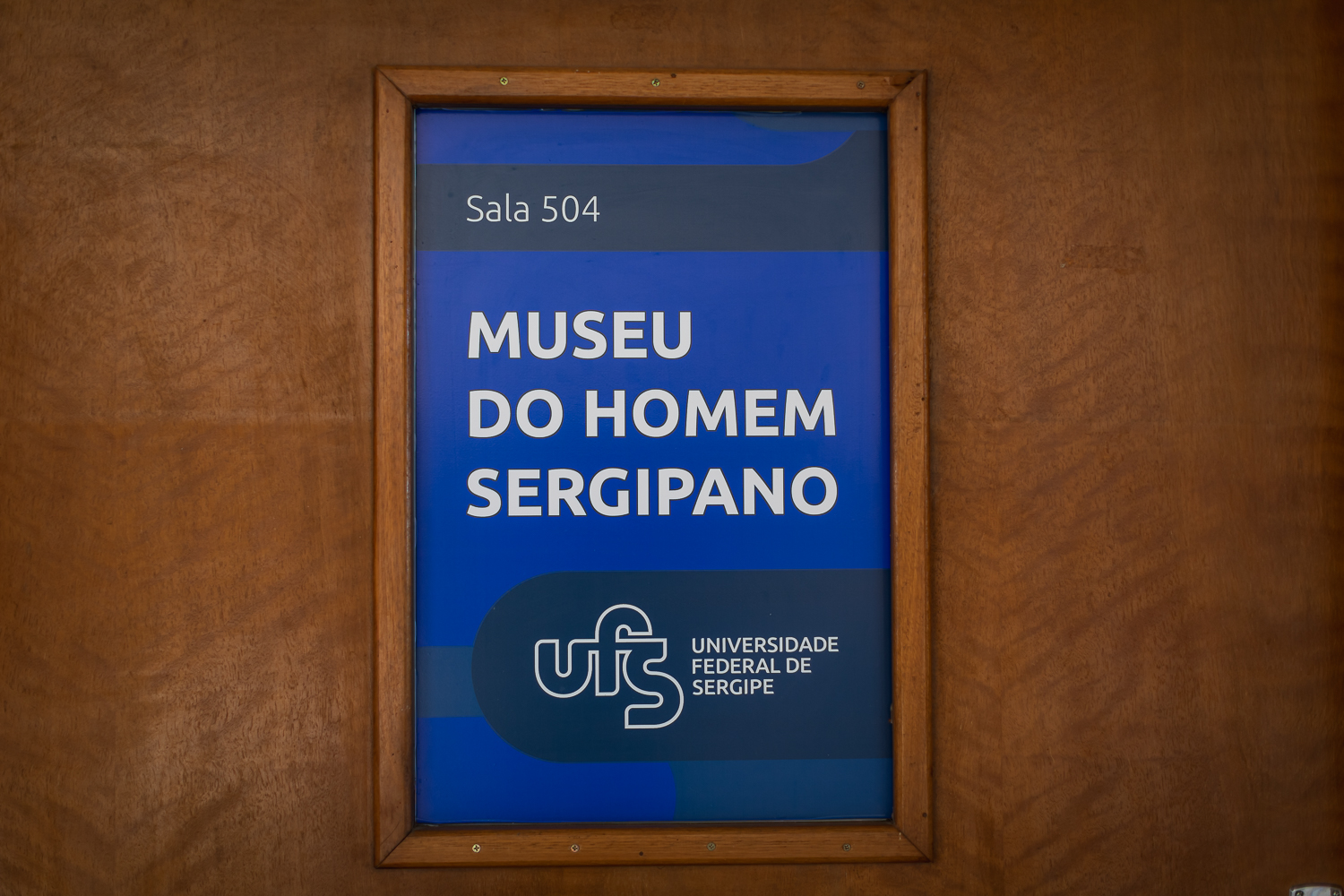 (Foto: Giulia Meneses/Ascom UFS)