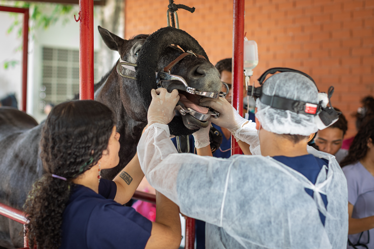 (Foto: Jackson Bandeira/Ascom UFS)