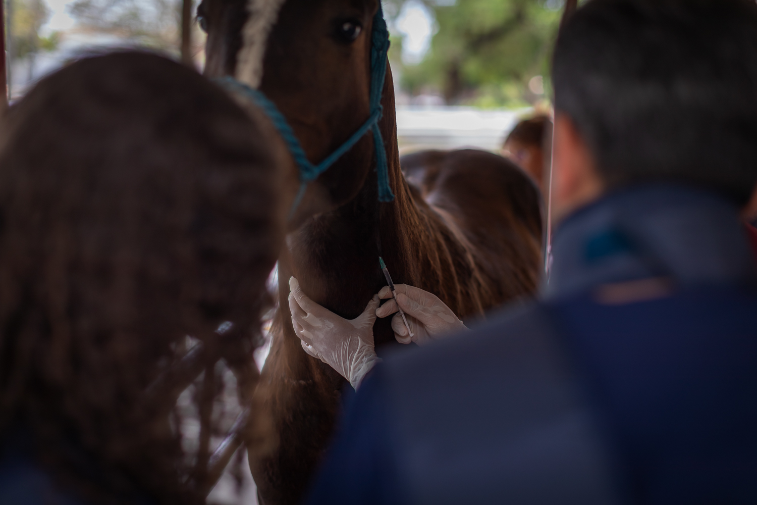 (Foto: Jackson Bandeira/Ascom UFS)
