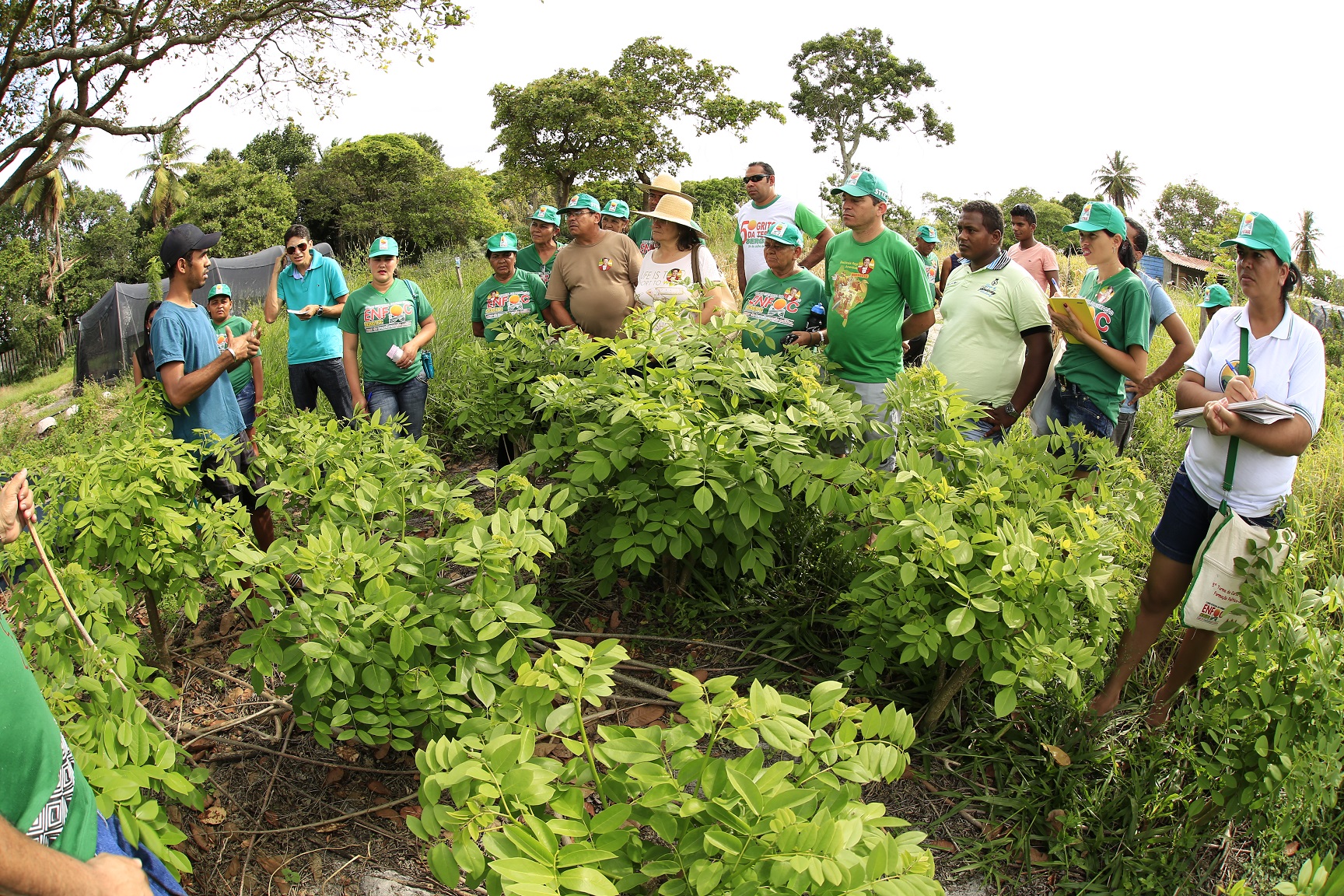 O aluno Frankilin Santos apresenta o cultivo da gliricídia