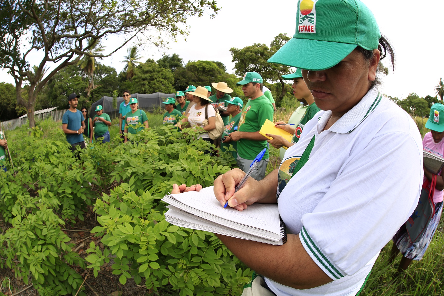 Produtores visitam espaço agroecológico